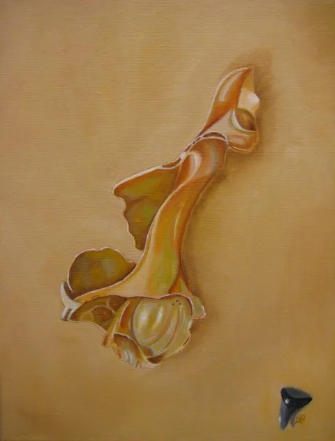 Fossiele schelp